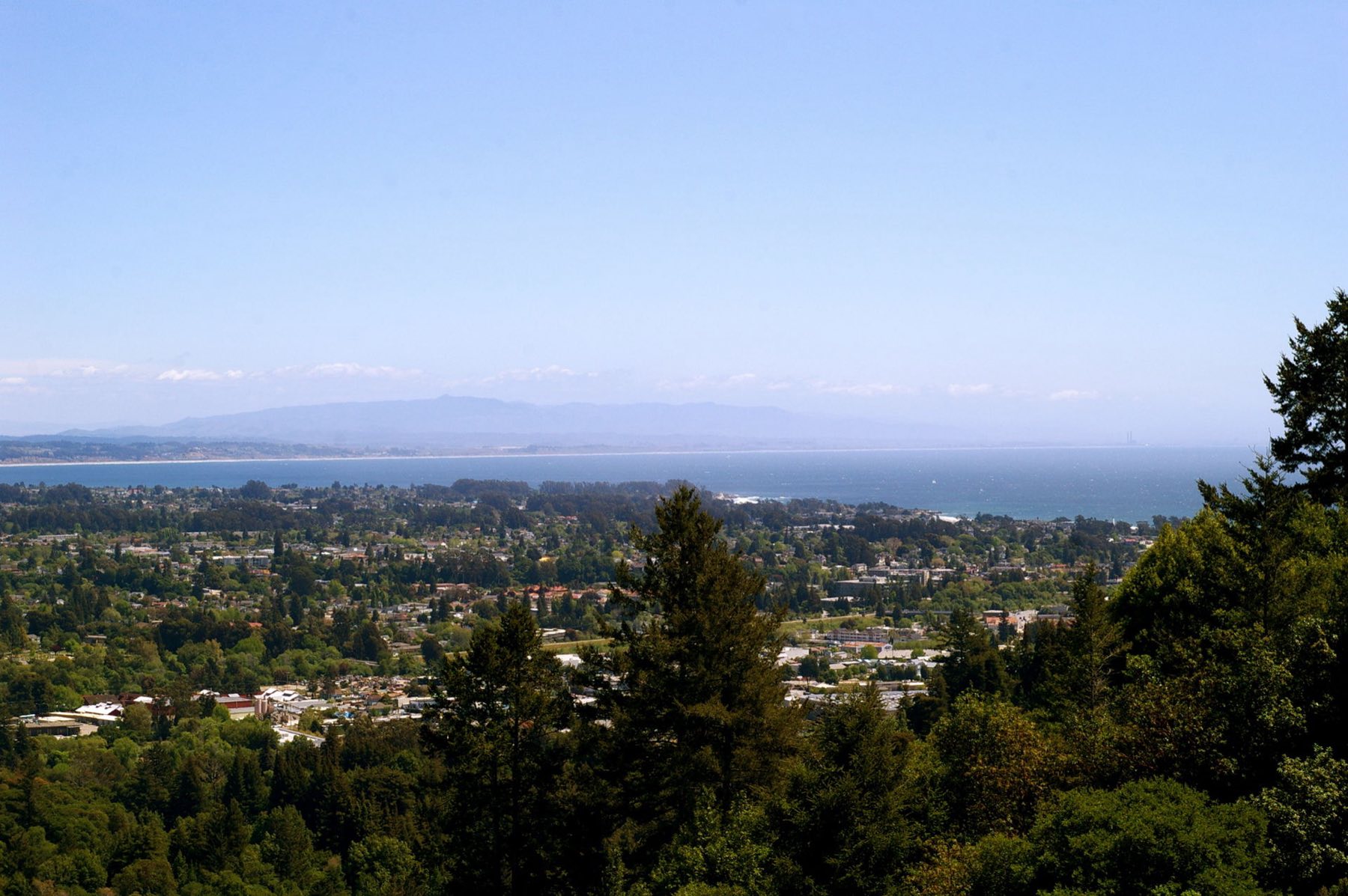 Monterey Bay and the city of Santa Cruz seen from the wooded hills of the UC Santa Cruz campus.