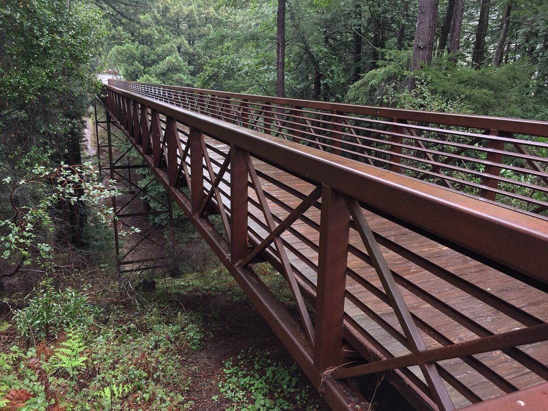 A steel footbridge crossing a redwood ravine on Science Hill at UC Santa Cruz.